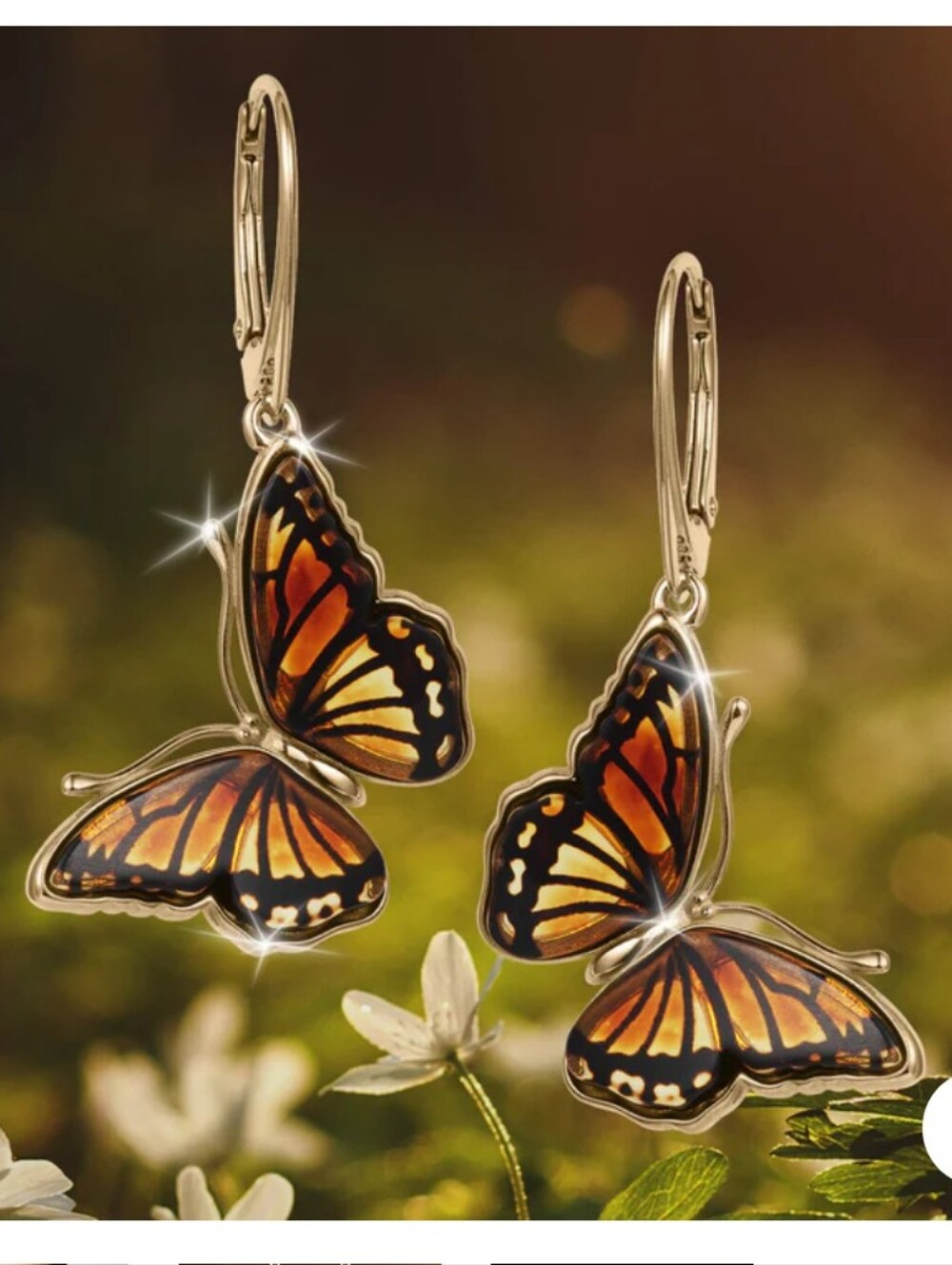 Daniel Steiger Baltic Amber Butterfly Collection
